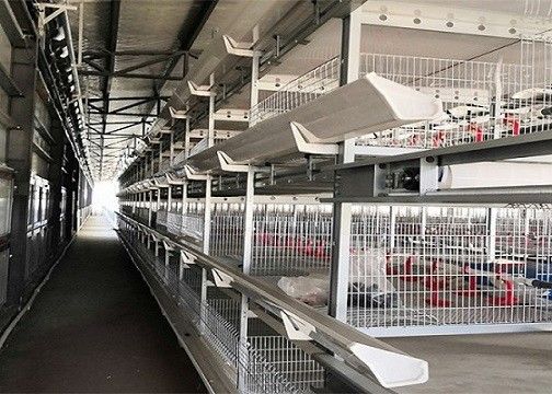 Курятник слоя птицы фермы стальной структуры OEM/ODM полуфабрикат