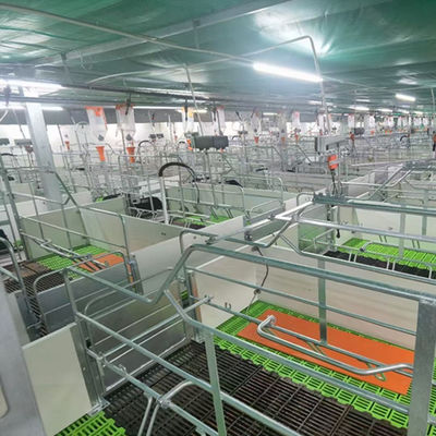 Облегченный дом свиньи стальной структуры гальванизировал Prefab аграрные здания