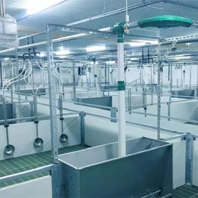 Облегченный дом свиньи стальной структуры гальванизировал Prefab аграрные здания
