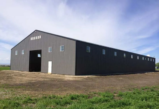 Светлое Prefab здание мастерской металла стальной структуры склада Windproof