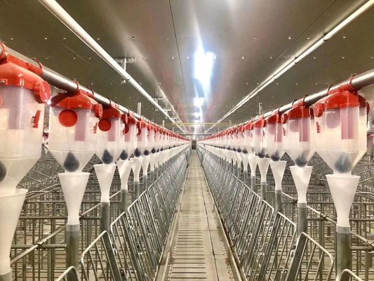 Windproof железный каркас ISO9001 дома свиньи стальной структуры портальный полуфабрикат