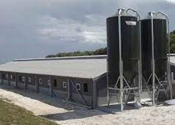 Дом свиньи Prefab стальной портальной конструкции структуры рамки Windproof