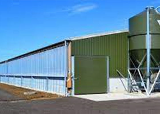 Дом свиньи Prefab стальной портальной конструкции структуры рамки Windproof