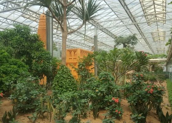 Зеленый сад растений Парник из закаленного стекла для больших декоративных цветков