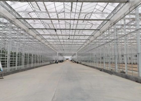 Зеленый сад растений Парник из закаленного стекла для больших декоративных цветков