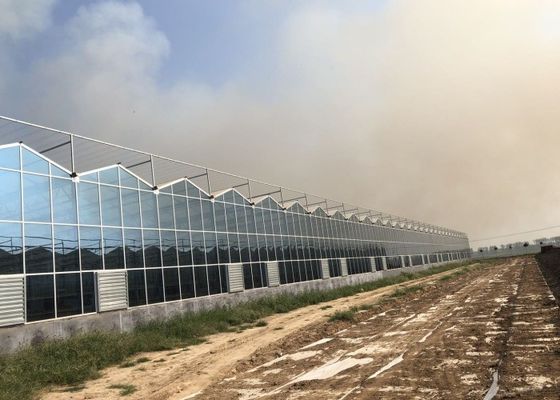 Зеленый сад растений Парник из закаленного стекла для больших декоративных цветков