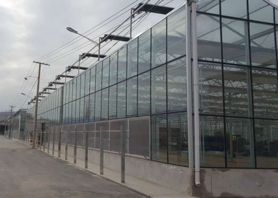 Заволакивание стекла парника трубы оцинкованной высокой отметки коммерческие