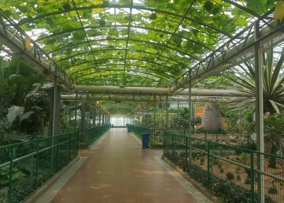 Реклама трубы Venlo высокой отметки стеклянным гальванизированная парником