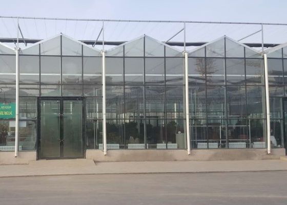 Реклама трубы Venlo высокой отметки стеклянным гальванизированная парником