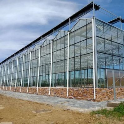 Парника культуры культивирования овоща засаживать Soilless стеклянного разнослоистый