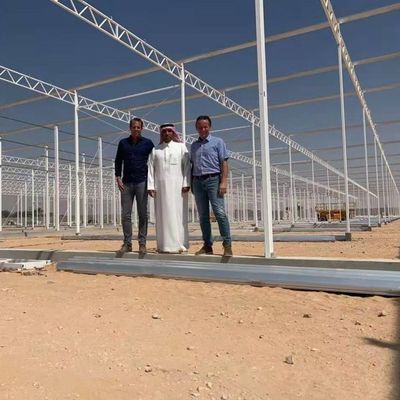 Парника культуры культивирования овоща засаживать Soilless стеклянного разнослоистый