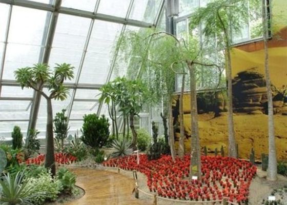 Комната солнечного света Зимнего сада Небольшая стальная стеклянная оранжерея Венло Спокойная обстановка