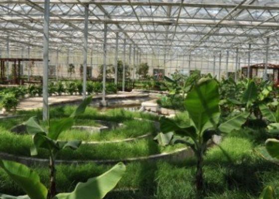 Гальванизированная таможня ресторана парника трубы осмотр достопримечательностей сформировала 4600㎡