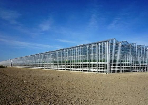 Визит в Венло стеклянная теплица