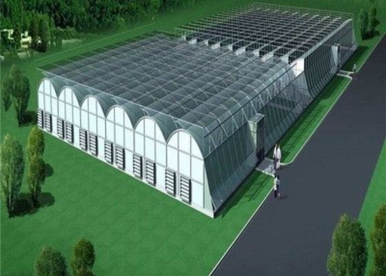 Изготовленное на заказ форменное стеклянное размножение кровати парника/питомника саженца/передвижной Seedbed