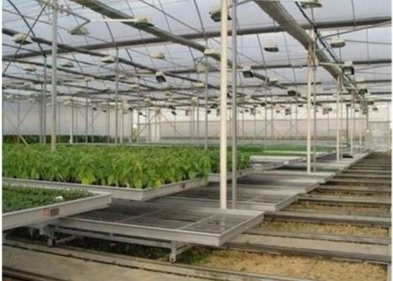Изготовленное на заказ форменное стеклянное размножение кровати парника/питомника саженца/передвижной Seedbed