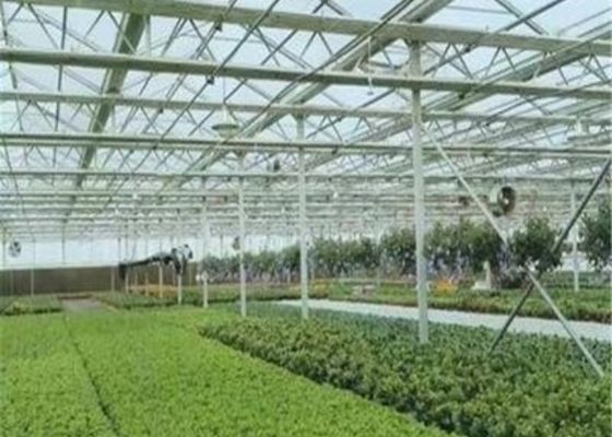 Изготовленное на заказ форменное стеклянное размножение кровати парника/питомника саженца/передвижной Seedbed