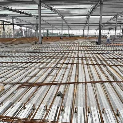 Структура Q355B стальная для хранения здания мастерской склада