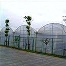 Теплица с непрерывным протяжением ПО для увеличения урожайности овощей