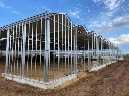 Стеклянная теплица для осмотра достопримечательностей Венлуо - Крупномасштабная теплица для выращивания овощей