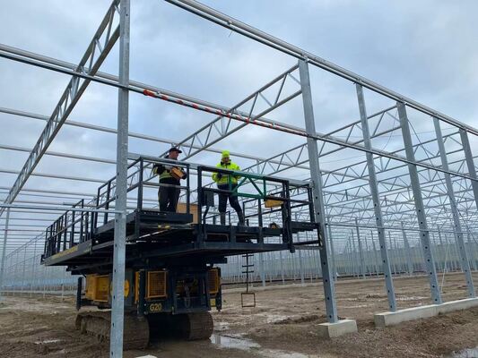 Использование сельскохозяйственных насаждений, Wannuo