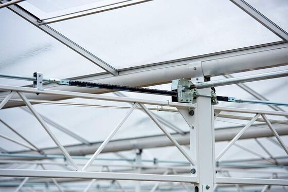 Использование сельскохозяйственных насаждений, Wannuo