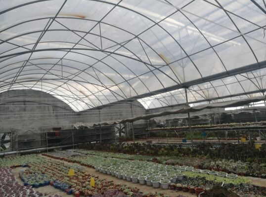 Теплица с полиэтиленовой пленкой с непрерывным протяжением, используемая для увеличения урожайности овощей и ускорения процесса созревания овощей