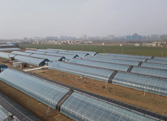 Теплица с полиэтиленовой пленкой с непрерывным протяжением для выращивания высококачественных цветов