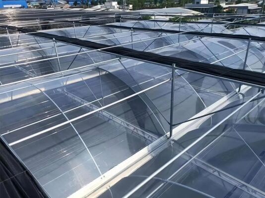 Туристическая стеклянная теплица Вэнлу - крупномасштабная теплица для выращивания фруктов