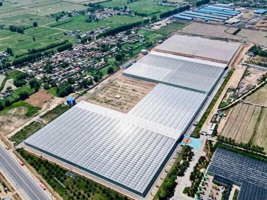 Теплица для выращивания фруктов, большая стеклянная теплица для осмотра достопримечательностей Woonloos