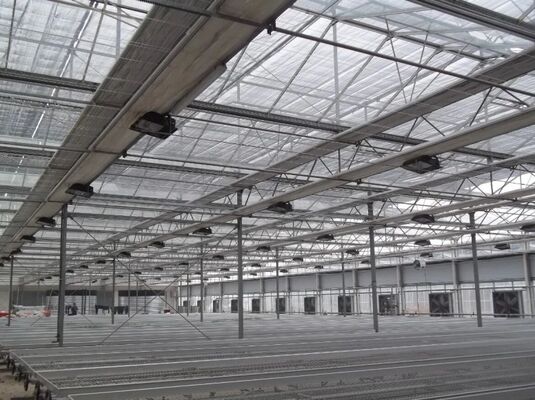 Теплица для выращивания фруктов, большая стеклянная теплица для осмотра достопримечательностей Woonloos